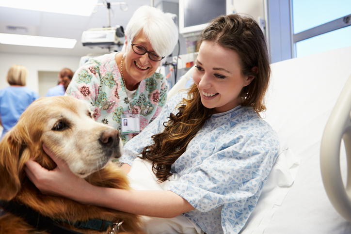 Social Work Month: The Fascinating World of Animal Therapy