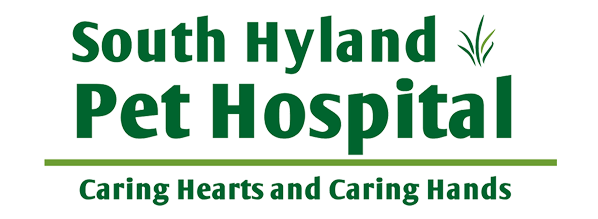 southhylandlogo south hyland