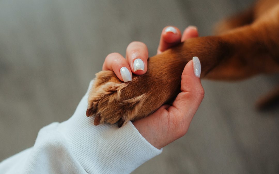 We Appreciate Your Patience, As We Care for Our Patients!