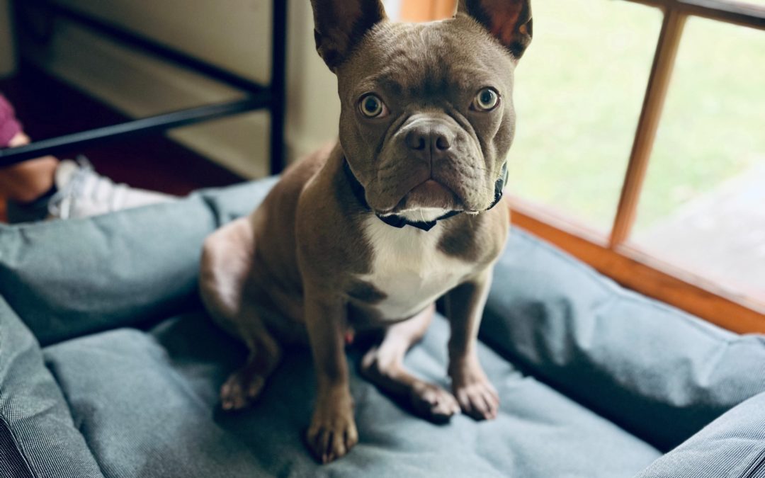 Mental Health Awareness Month