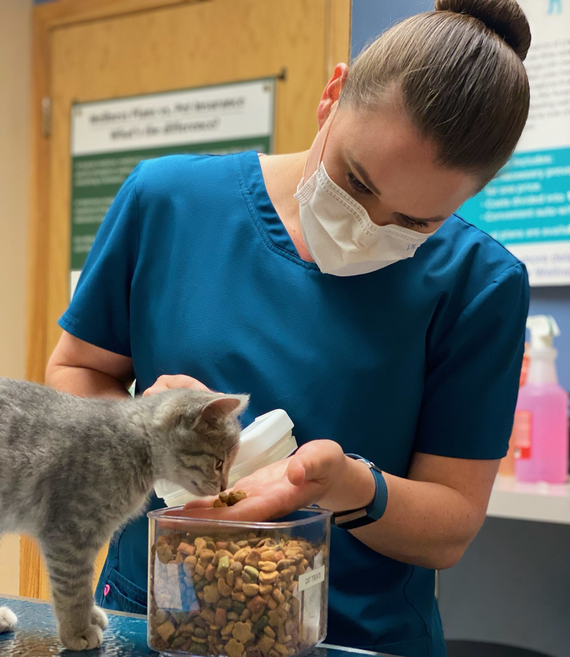 14037 puppies in the veterinary clinic