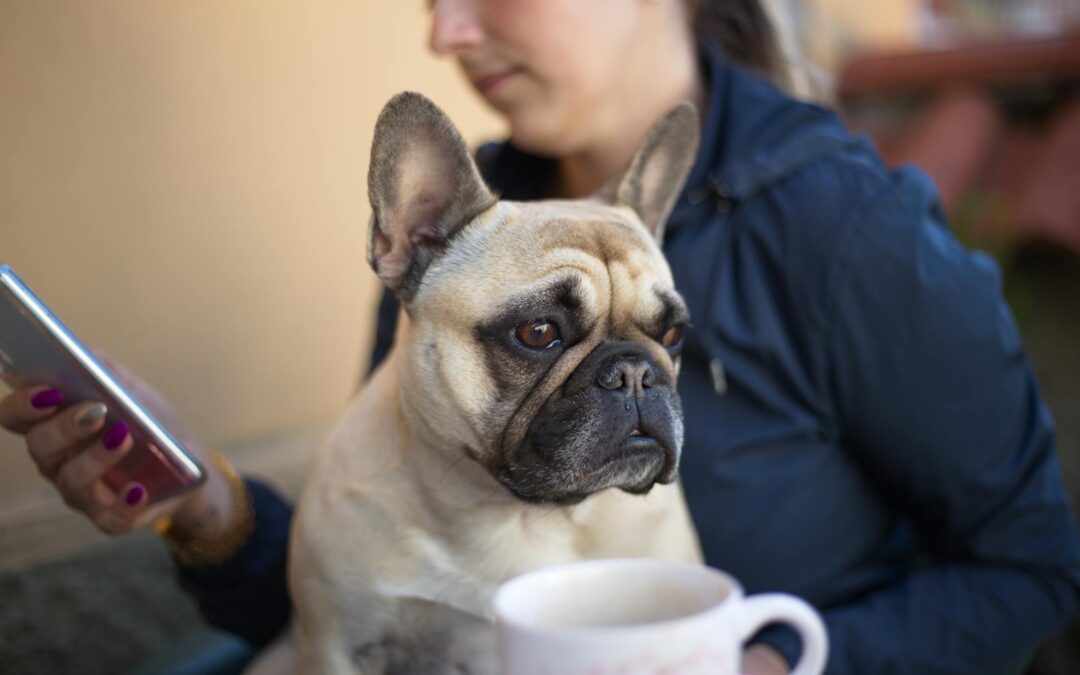 Why Choose Us To Fill Your Pet’s Prescriptions?