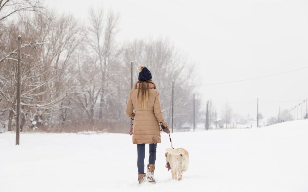 Walking Your Dog in Winter: Safety Tips for Bloomington Pet Owners